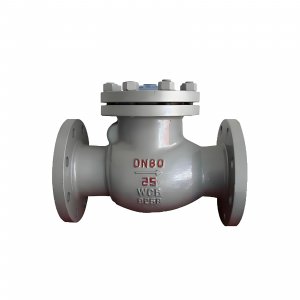 DN50 PN25 介質：甲胺，溫度：80℃止回閥