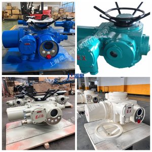 上海Z20-18W/Z/T 閥門電動執(zhí)行器